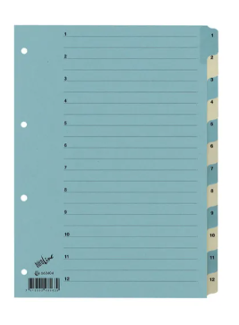 Register Karton blau/beige A4  1-12