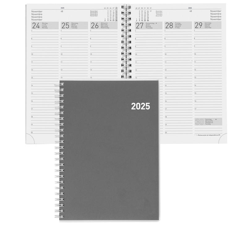 Agenda Terminia, Wire-O 2025, Cylar