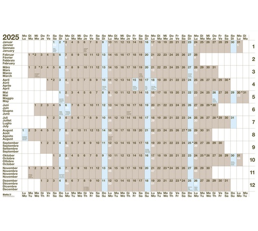 [AG480110] Tableau de planning annuels 69,5 x 46 cm 2025