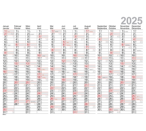 [AG480111] Tableau de planning annuels 98 × 68 cm 2025